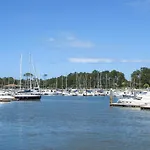 Les Berges Landaises-6 By Interhome Lägenhet